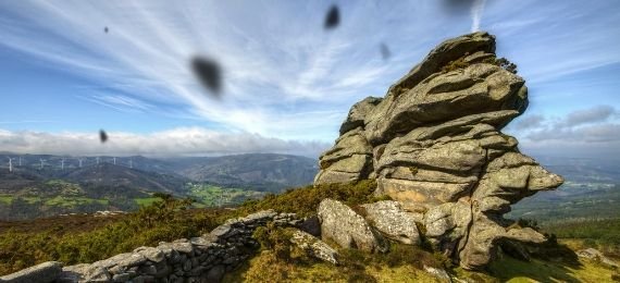 cofa blog que son las moscas volantes